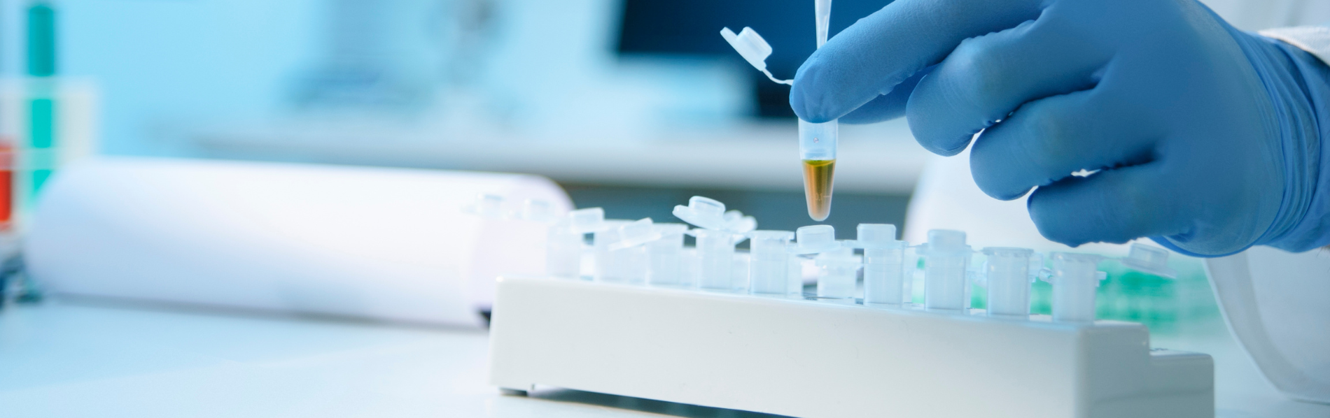 2024 Sarcoma Research Grants Applications Now Open